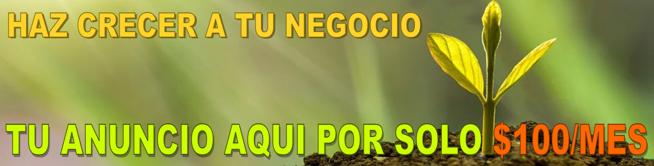 Haz CLick Aqui